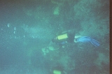 Taylor Scuba Diving 08